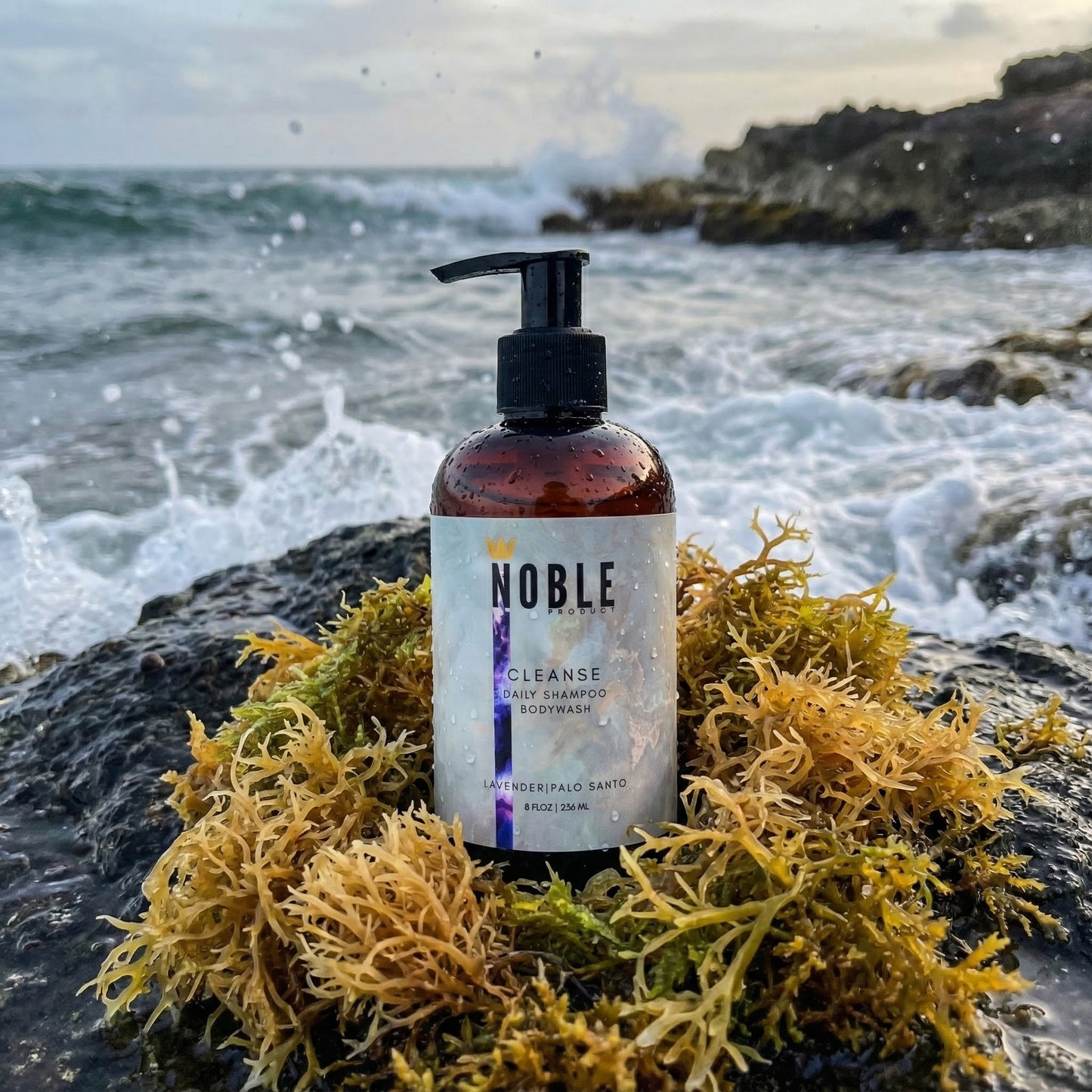 Cleanse | Seamoss Shampoo | Palo Santo & Lavender (8oz.)